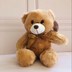Oso De Peluche