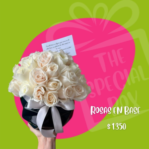 Rosas En Base
