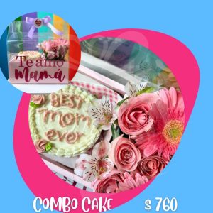 Combo Cake